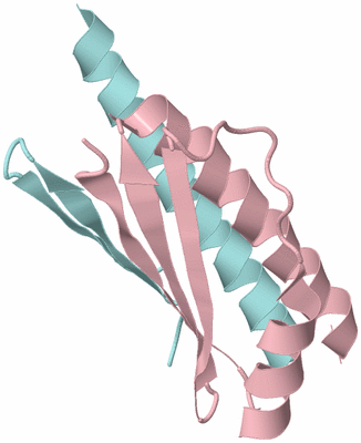 Image Biological Unit 4