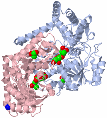 Image Biological Unit 1