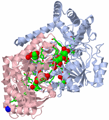 Image Biol. Unit 1 - sites