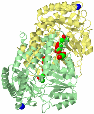 Image Biological Unit 2