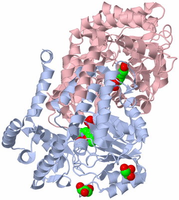 Image Asym./Biol. Unit