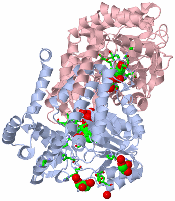 Image Asym./Biol. Unit - sites