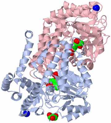 Image Asym./Biol. Unit