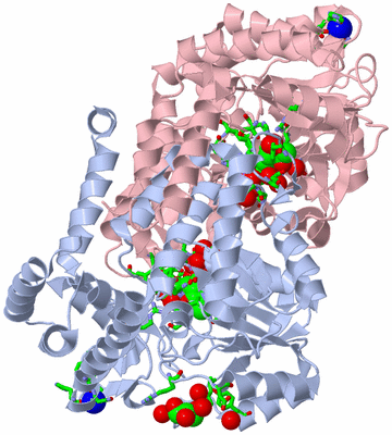 Image Asym./Biol. Unit - sites