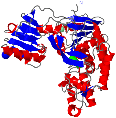 Image Asym./Biol. Unit