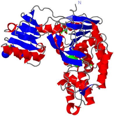 Image Asym./Biol. Unit - sites