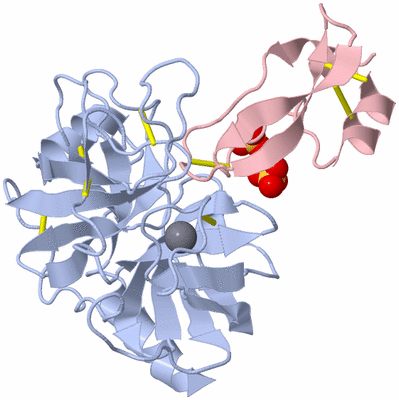 Image Biological Unit 1