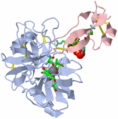 Image Biol. Unit 1 - sites