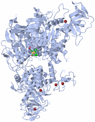 Image Biological Unit 1