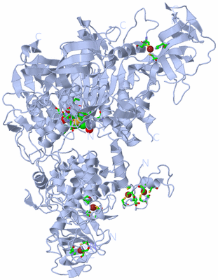 Image Biol. Unit 1 - sites