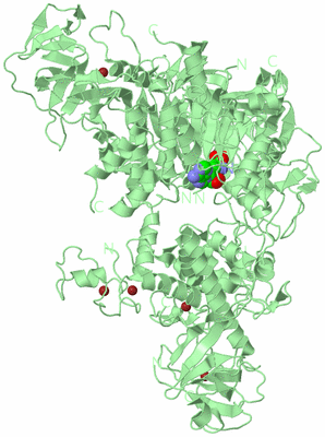 Image Biological Unit 2