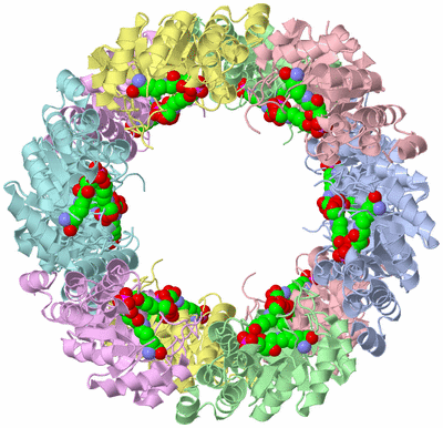 Image Biological Unit 1