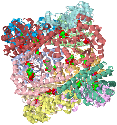 Image Asym./Biol. Unit