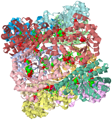 Image Asym./Biol. Unit - sites