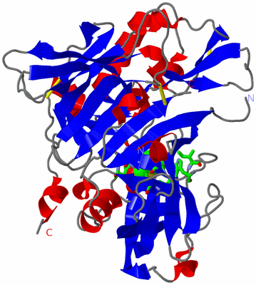 Image Asym./Biol. Unit - sites