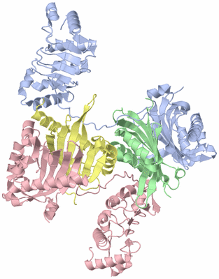 Image Asym./Biol. Unit