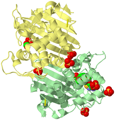 Image Biological Unit 2