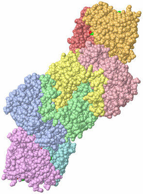 Image Asym./Biol. Unit - sites