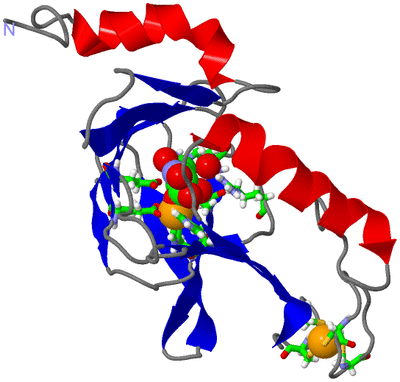 Image Asym./Biol. Unit - sites