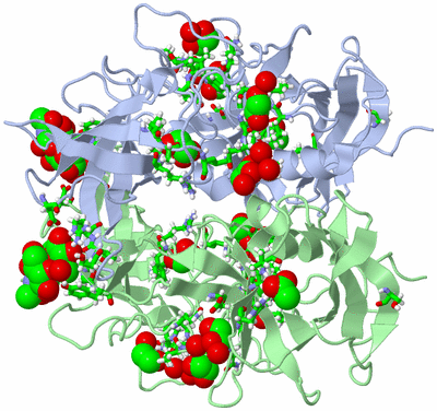 Image Asym./Biol. Unit - sites