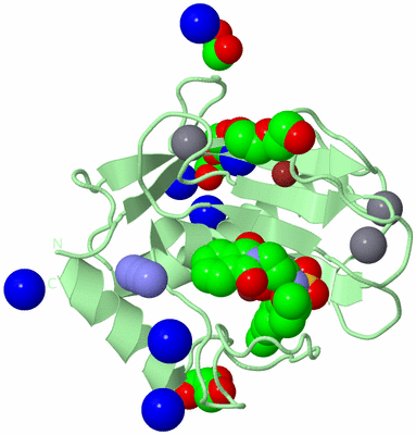 Image Biological Unit 2