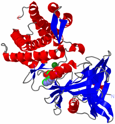 Image Asym./Biol. Unit