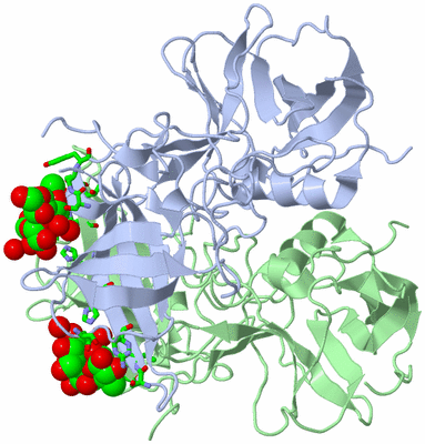 Image Biol. Unit 1 - sites