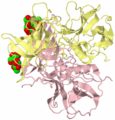 Image Biological Unit 2