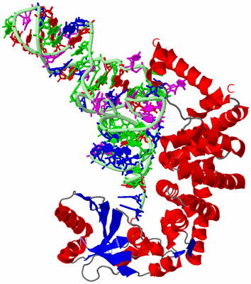 Image Asym./Biol. Unit