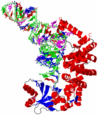 Image Asym./Biol. Unit