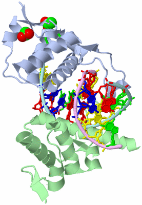 Image Biol. Unit 1 - sites