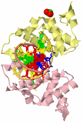 Image Biological Unit 2