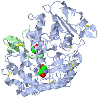 Image Asym./Biol. Unit