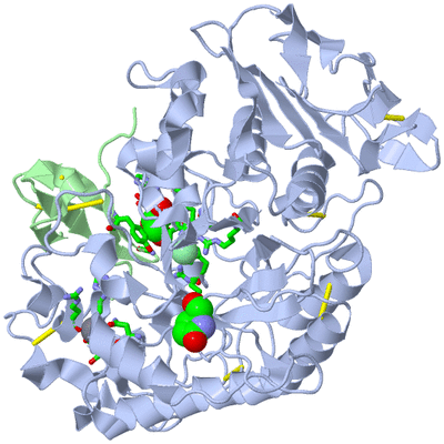 Image Asym./Biol. Unit - sites