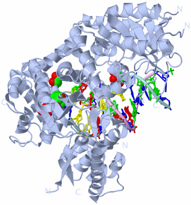 Image Biological Unit 1