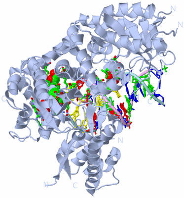 Image Biol. Unit 1 - sites