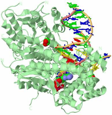 Image Biological Unit 2