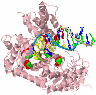 Image Biological Unit 3