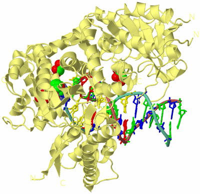 Image Biological Unit 4