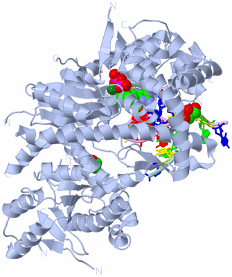 Image Biological Unit 1