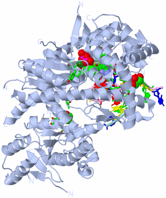 Image Biol. Unit 1 - sites