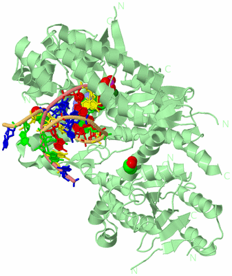 Image Biological Unit 2