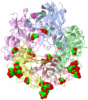 Image Asym./Biol. Unit