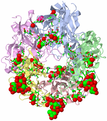 Image Asym./Biol. Unit - sites