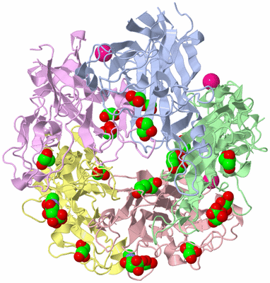 Image Asym./Biol. Unit