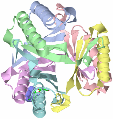 Image Biol. Unit 1 - sites