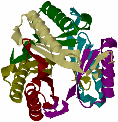 Image Biological Unit 4