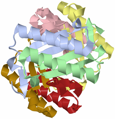 Image Biological Unit 5