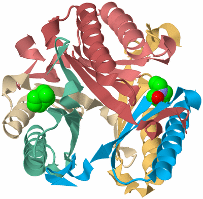 Image Biological Unit 2