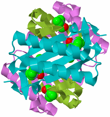 Image Biological Unit 3